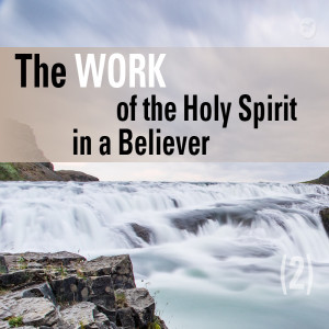 The Work of the Holy Spirit in a Believer (2)
