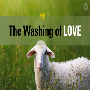 The Washing of Love