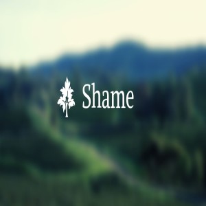 Shame, Vulnerability, and Persecution