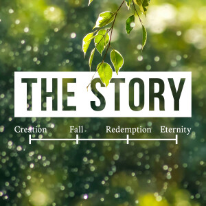 THE STORY: Creation Part 1 // July 7, 2024