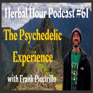 Sacred Medicines: The Healing Power of the Psychedelic Experience with Frank Piccirillo