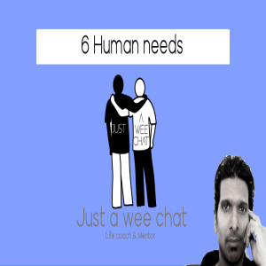 6 basic human needs