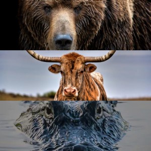 Top Three Battle at Men’s NCAA Swimming Championship