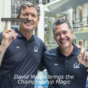 David Marsh brings the Championship Magic