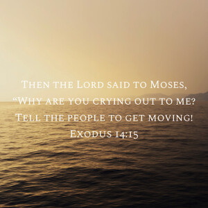 Stop crying, move forward