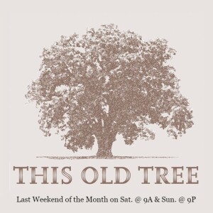 04-27-24   Preservation is Progress: The Brontë Oak   -  This Old Tree