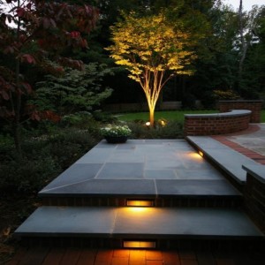 Commercial Landscaping Service Chandler AZ