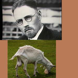 Episode 25: (John R Brinkley:  The Quack Goat Testicle Doctor)