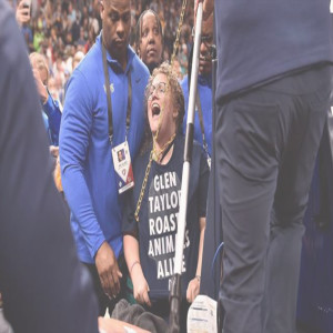 Animals Rights Organization Takes Over NBA Playoffs