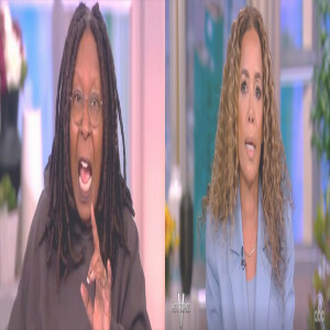 Sunny Hostin & Whoopi Goldberg Show Their Ignorance Discussing Superbowl