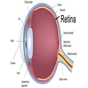 CymaTones for Retina & Optic Nerve