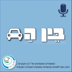תפיסת העליונות בתחרות האסטרטגית בין ישראל ובין איראן – אל”ם ט’ ואל”ם ר’