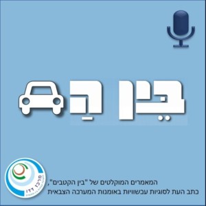 ”בין כה וכה לא נגמור את הערבים...” האסטרטגיה הישראלית של התשה בלבנון: 1970 – 1972 – יניב פרידמן