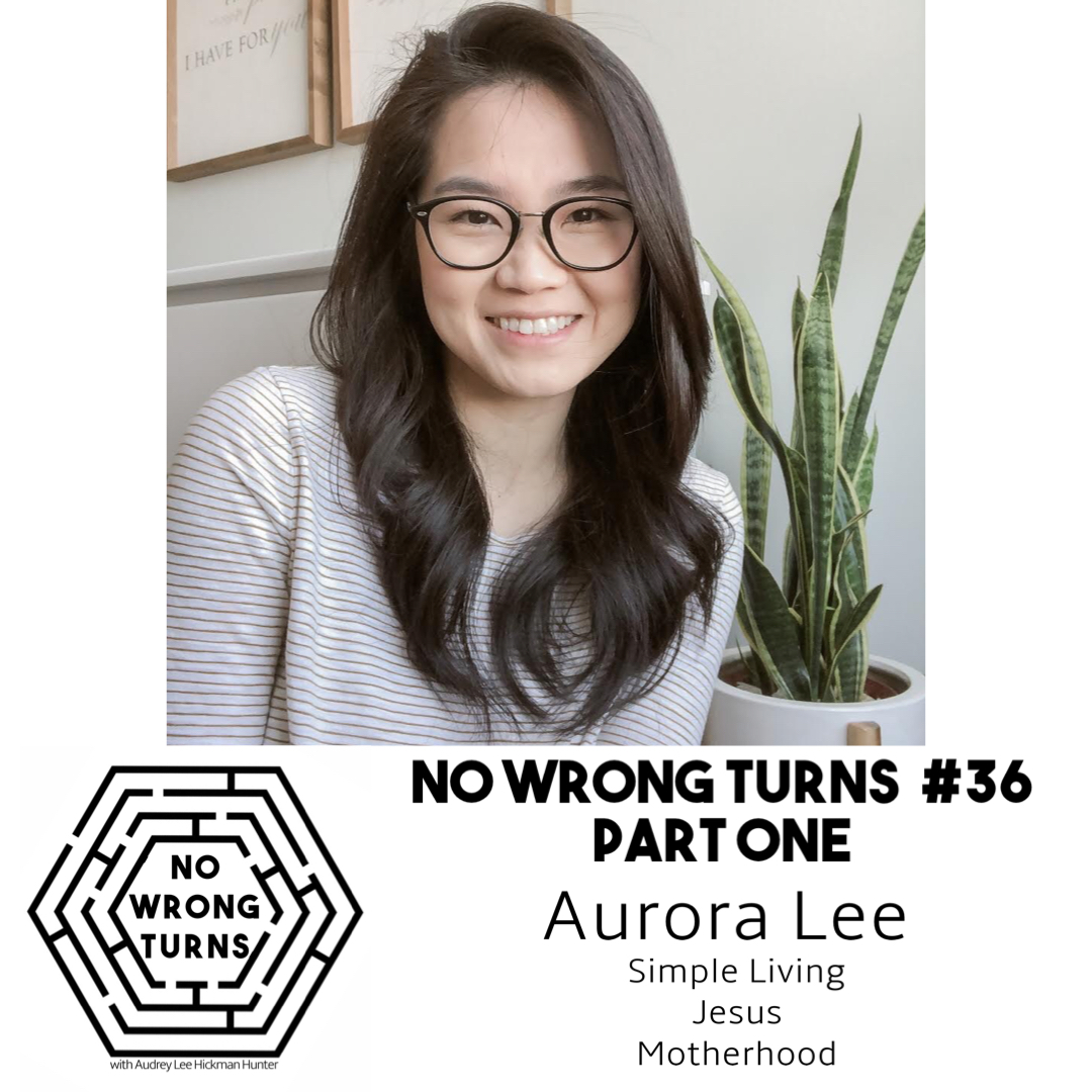 No Wrong Turns Pod