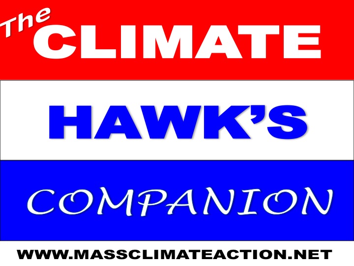 Voices from the People's Climate March-The Climate Hawk's Companion