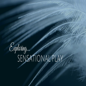 Exploring Sensational Play