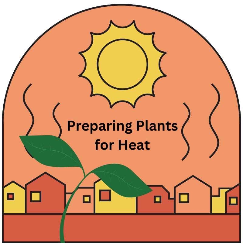 Ep. 103 | Preparing Plants for Heat