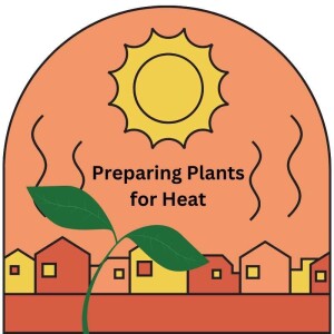 Ep. 103 | Preparing Plants for Heat