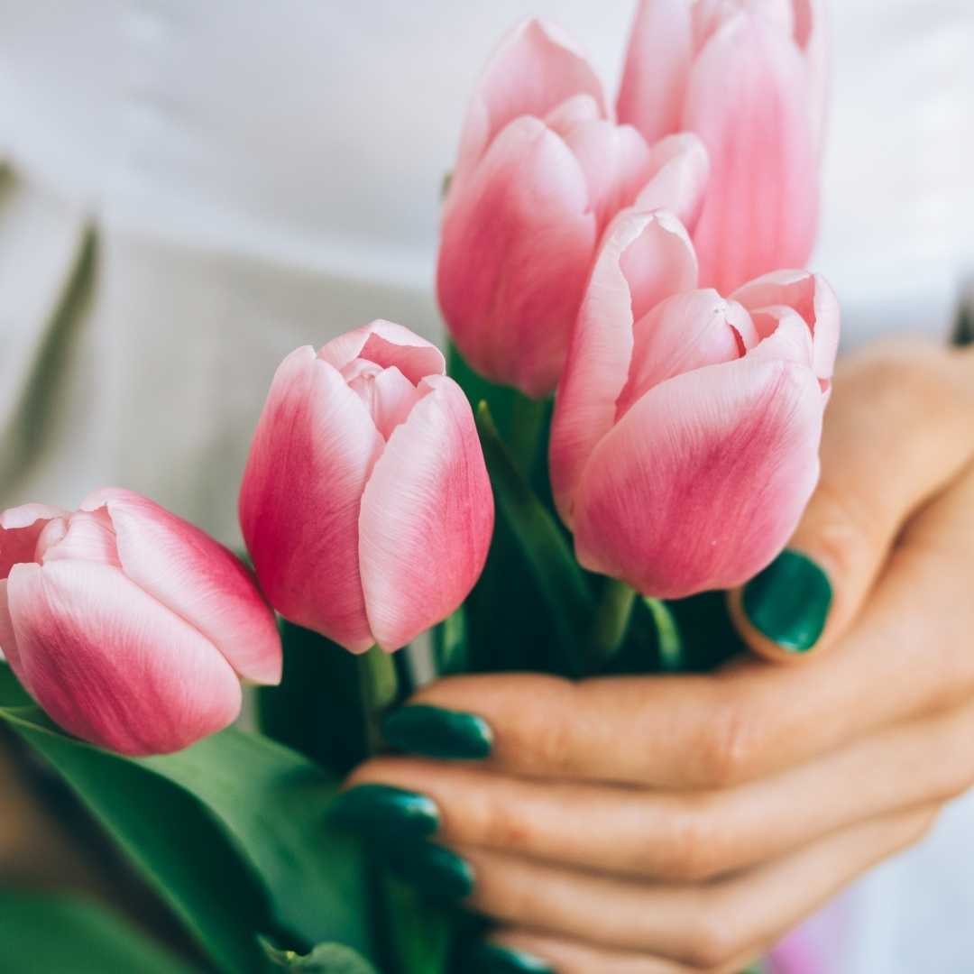 Episode 58 | Spring, Cleaning and your Junk Drawer