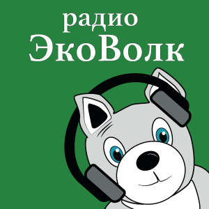 Как запустить экопроект на работе и почему среди эконутых мало мужчин