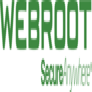 geeksquad webroot