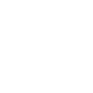 Pacific Whale Foundation’s Whale Festival