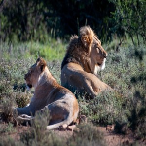 Maribeth Theisen, on Her trip to Africa