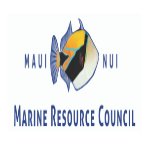 Anne Rillero on Maui Nui Marine Resource Council