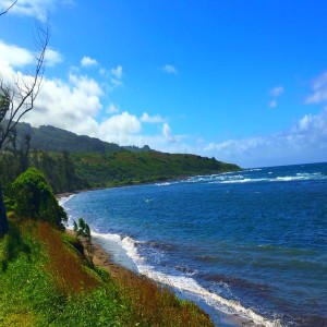 A Meditation done by Maui Oceans Shore