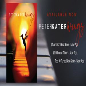 Grammy Winner Peter Kater