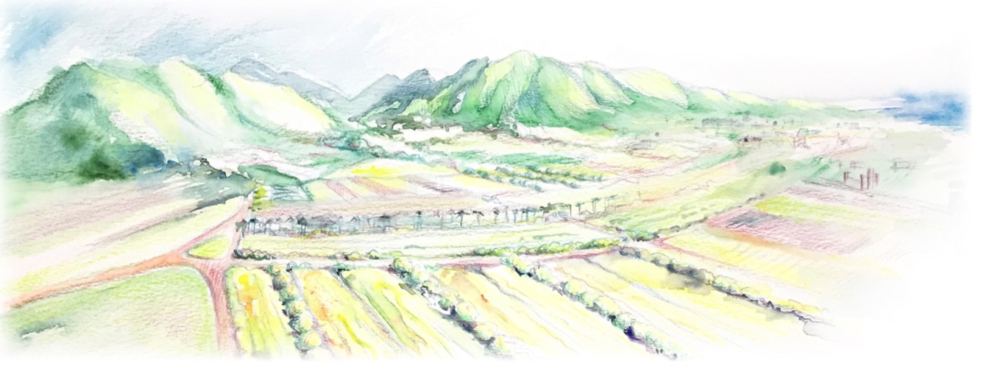 A Vision for Maui, Mark Sheehan and Alika Atay