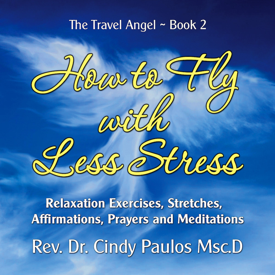 How to Fly with Less Stress Audio Chapter 13