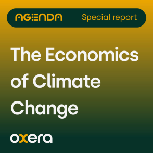 The Economics of Climate Change