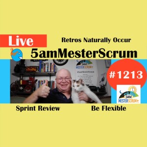 Natural Retros Lightning Talk 1213 #5amMesterScrum LIVE #agile