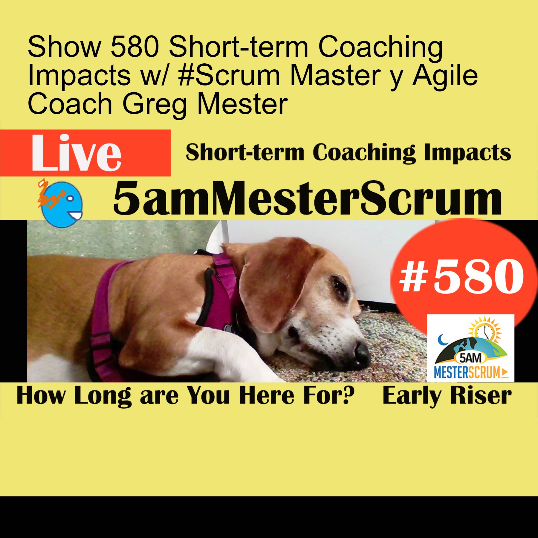 Show 580 Short-term Coaching Impacts w/ #Scrum Master y Agile Coach Greg Mester