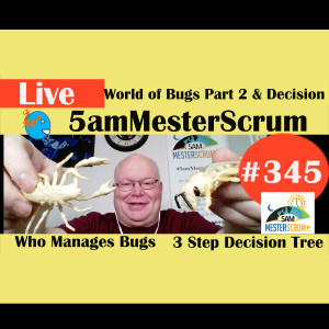Show #345 Bug 2 and Decisions 5amMesterScrum LIVE w/ Scrum Master & Agile Coach Greg Mester