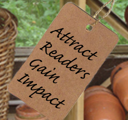 Why you should do the Full "Attract Readers" e-course
