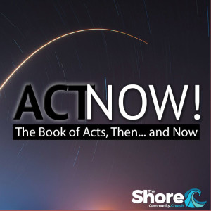 Trajectories - Act Now!
