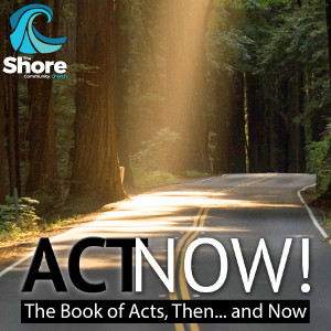 Hope from the Shadows - Act Now!