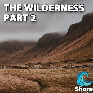 The Wilderness Part 2 (Sylvia Boys, 5th March 2023)