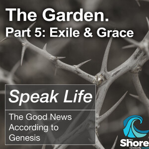 The Garden (Part 5): Exile & Grace (Jamie Fredricks, 19th November 2023)