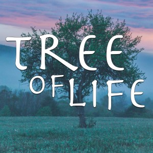 Tree of Life pt3: Seasons