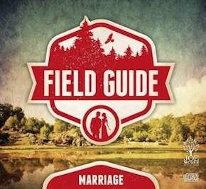 Field Guide to Marriage: Questions About Work