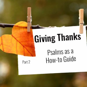 Gratitude part 2 — King David‘s Guide to Giving Thanks: the Psalms