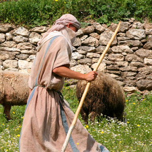 Traits for Being a Good Shepherd