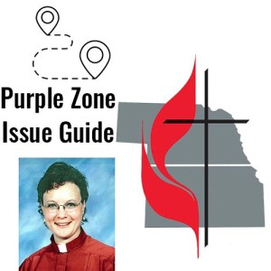 Purple Zone part 2 — Introduction to an Issue Guide