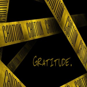 Gratitude - Andy Rainey