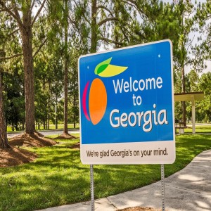 The Georgia Peach Festival