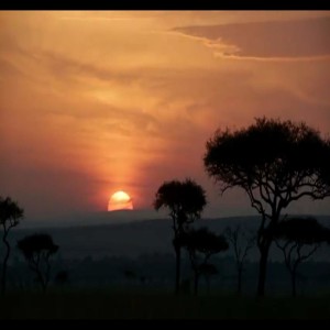 HD ^mp4^ The Lion King free Movie || Streaming Full 4K
