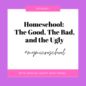 Episode 1: Homeschooling: The Good, The Bad, and The Ugly.